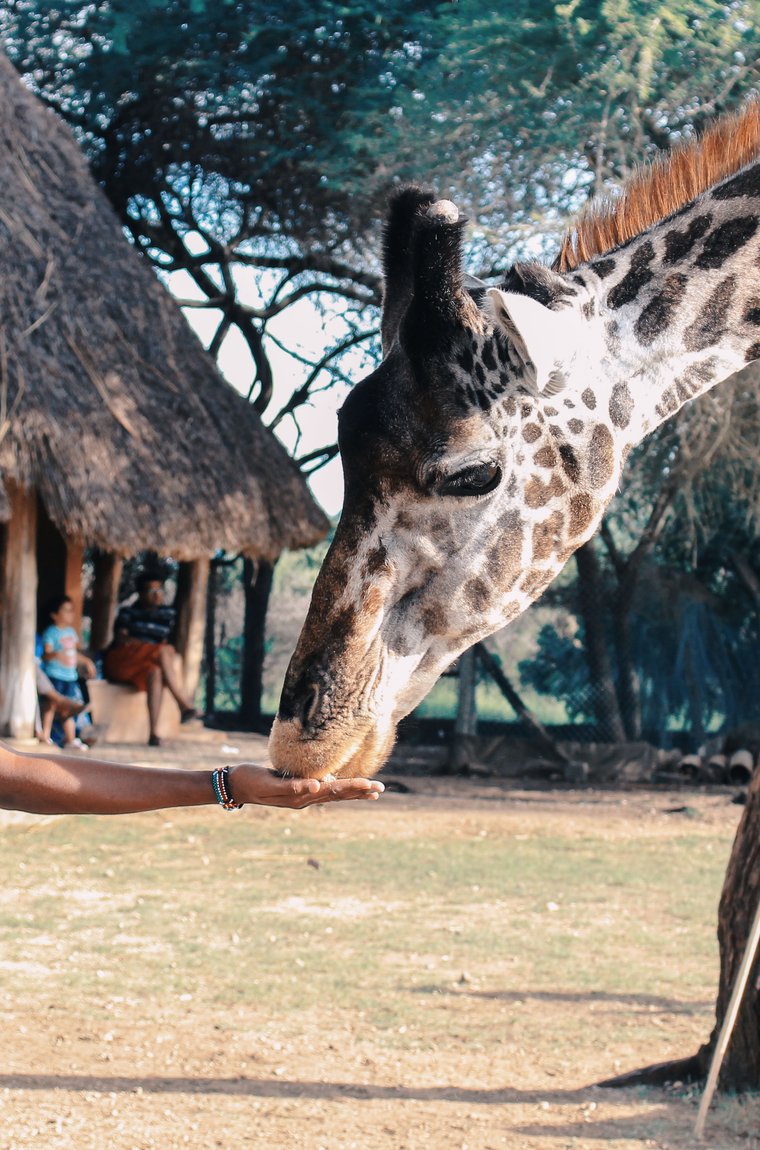 Luxury Group Holidays Uganda