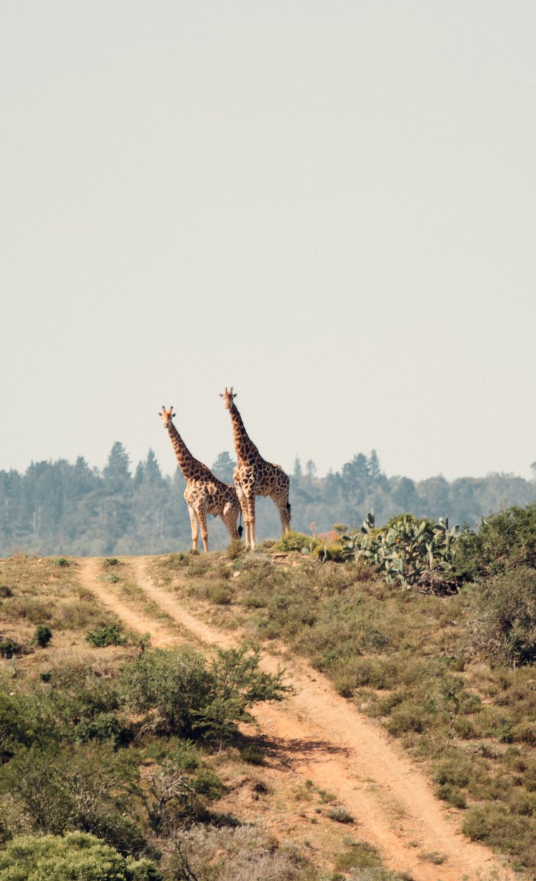 Luxury Camping Holidays Uganda