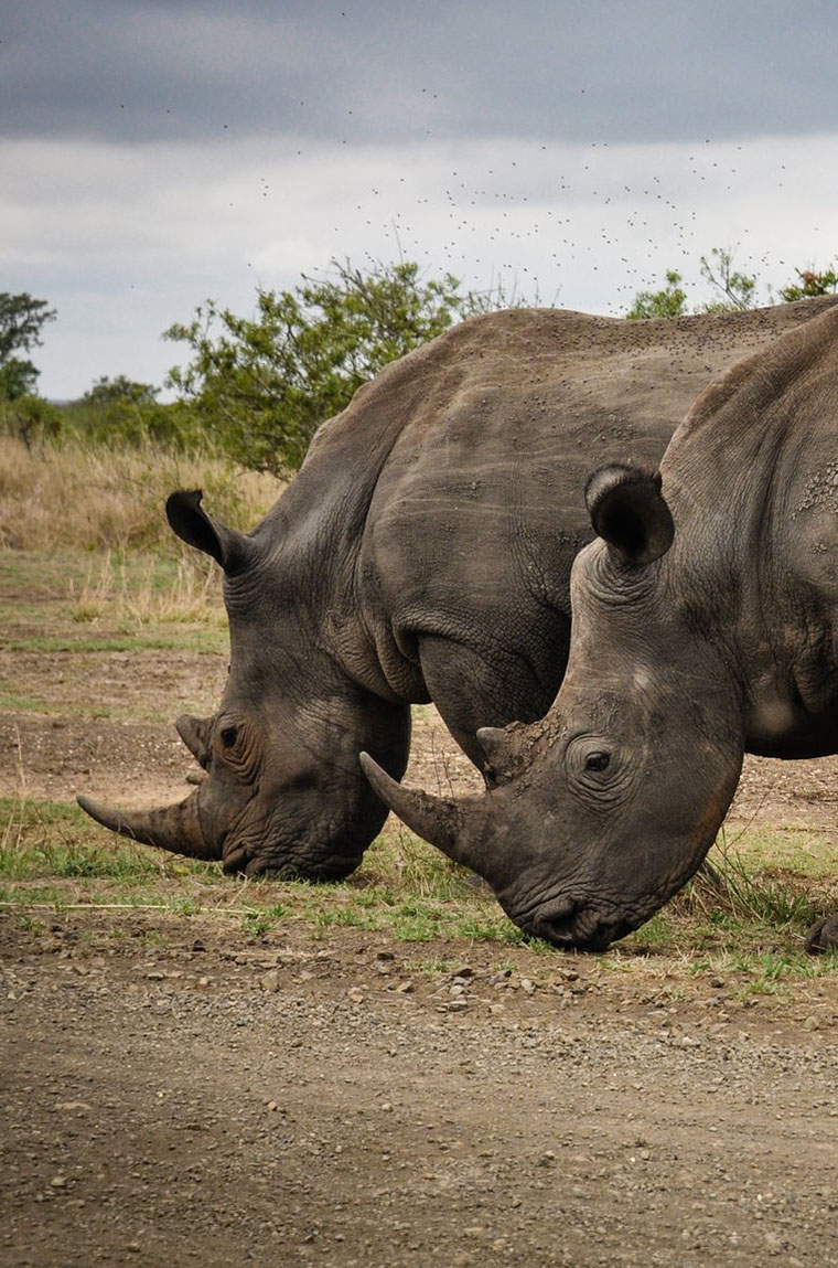 Luxury Group Holidays