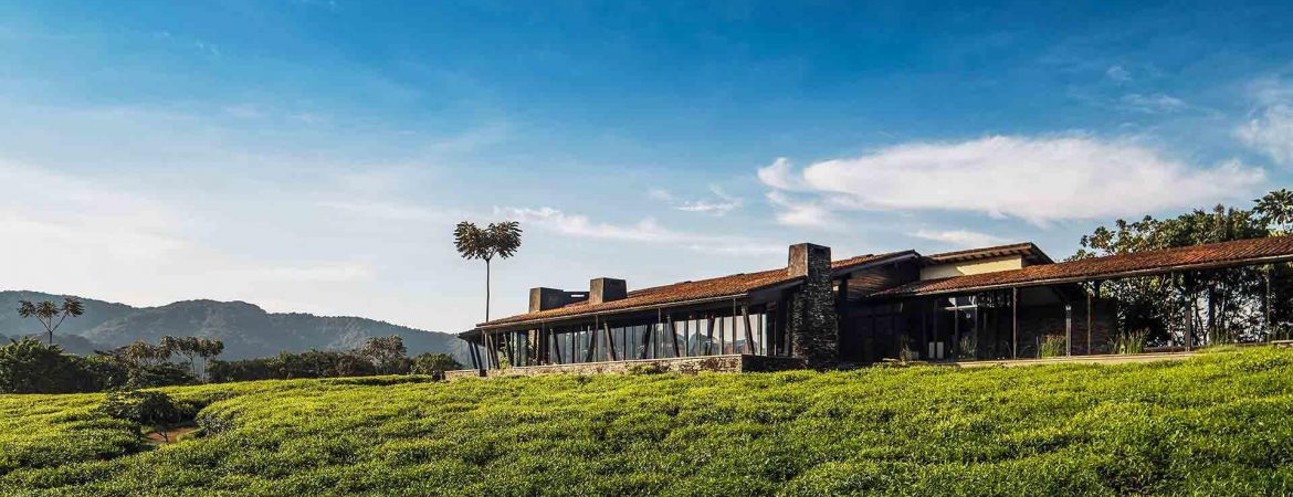 3 Days Nyungwe Primate Trekking Safari