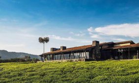 3 Days Nyungwe Primate Trekking Safari