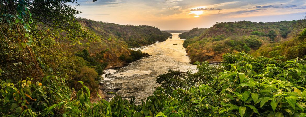 6 Days Uganda Wildlife Fly In Luxury Safari